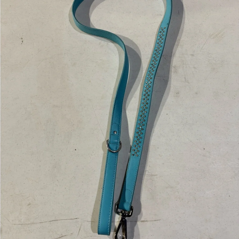 Teal Leather Dog Leash with Rhinestone Accents